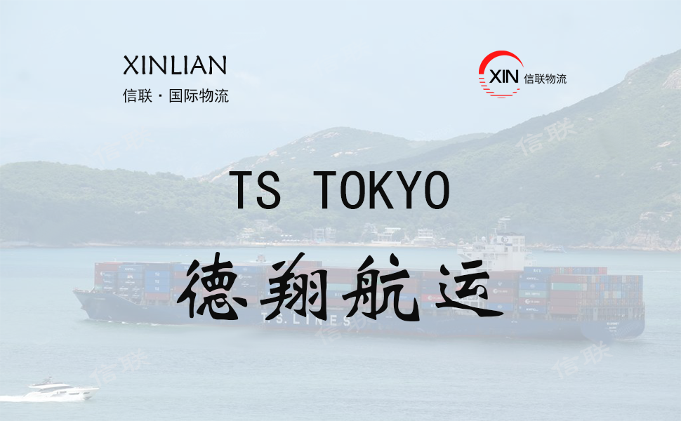 TS TOKYO_德翔航运_船舶档案信息查询