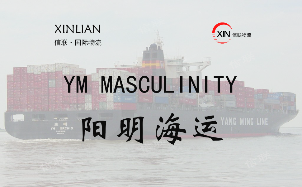 YM MASCULINITY_阳明海运_船舶档案信息查询