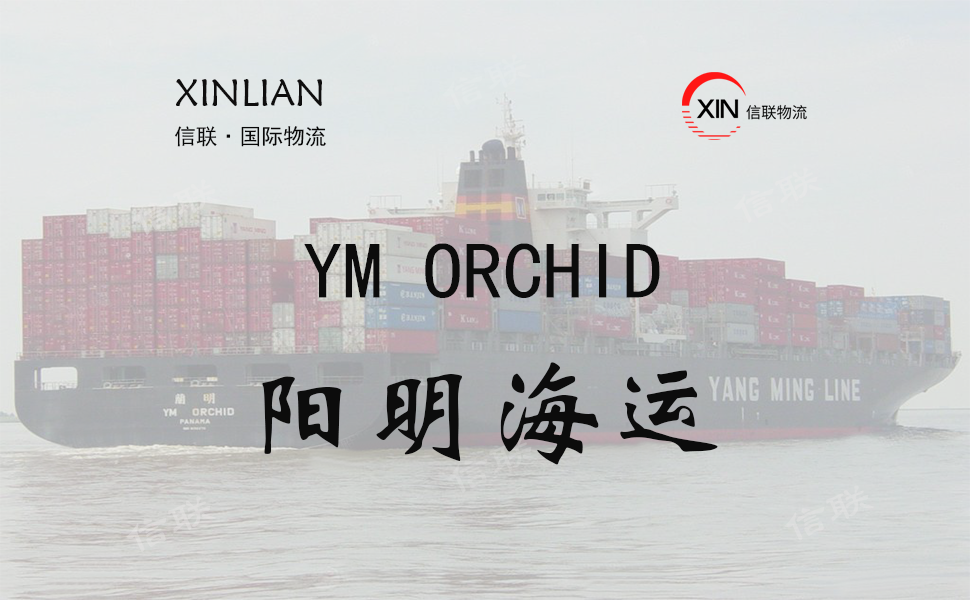 YM ORCHID_阳明海运_船舶档案信息查询